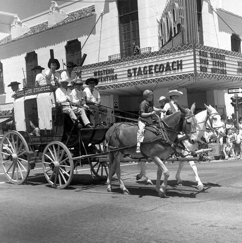 Picture of Your Top Picks