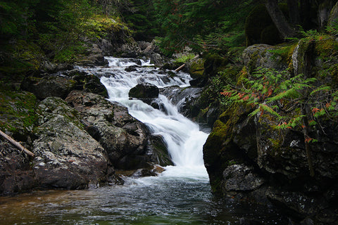 Picture of Falls on Lion Creek