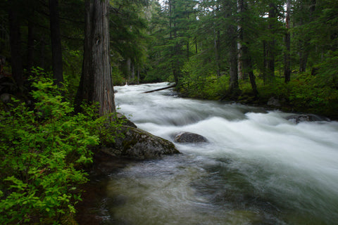 Picture of Spring serenity on Lion Creek
