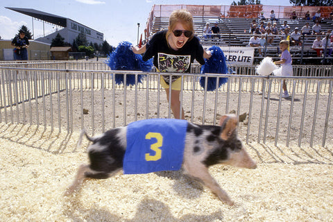 Picture of Western Idaho Fair 1990