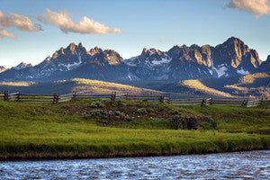 Landscape Collections